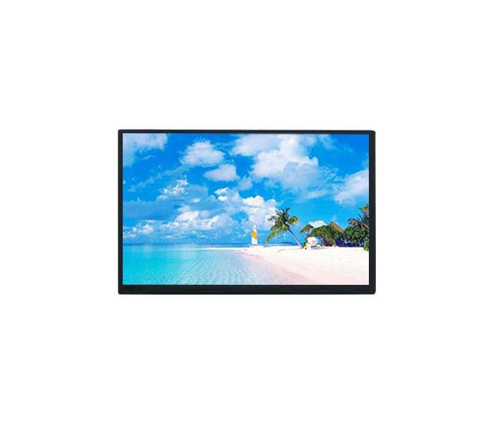 10.1-inch 1280x800 TFT-LCD Panel
