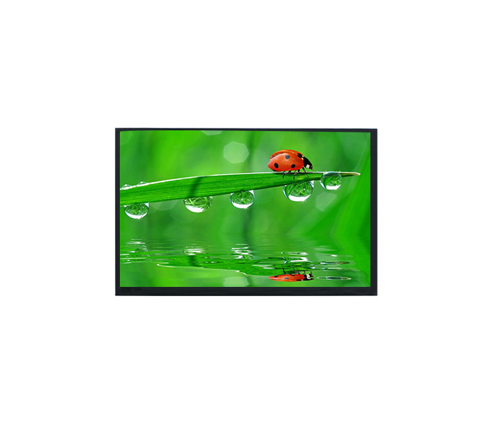 10.1-inch 1920x1200 TFT-LCD